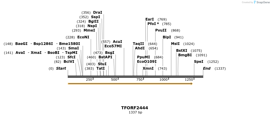 278380_map