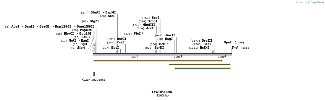 278383_map