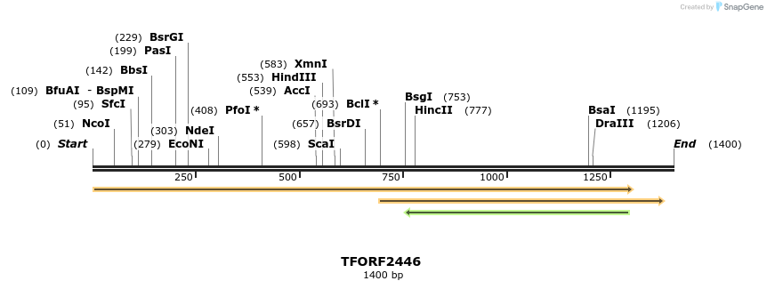 278386_map
