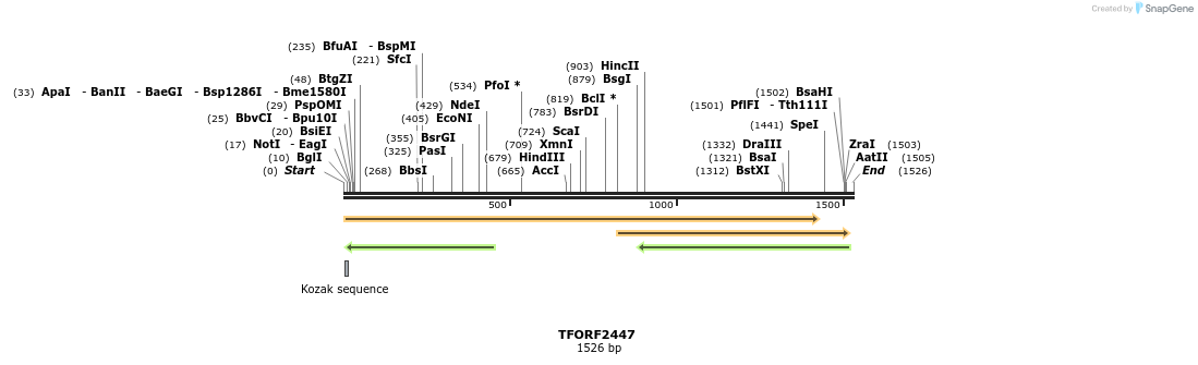 278389_map