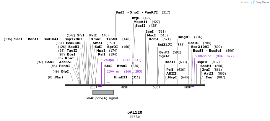 27839_map