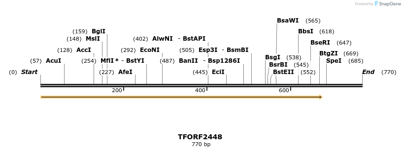 278392_map