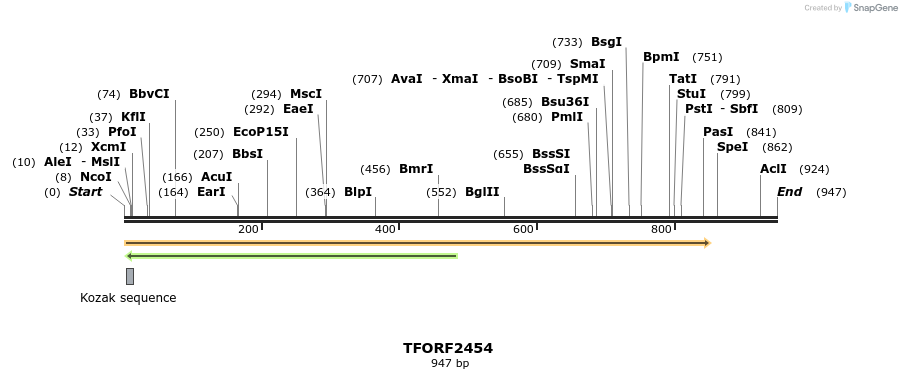 278395_map