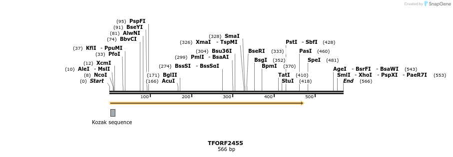 278398_map