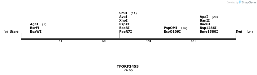 278399_map