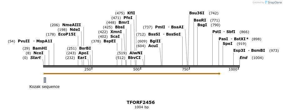 278401_map