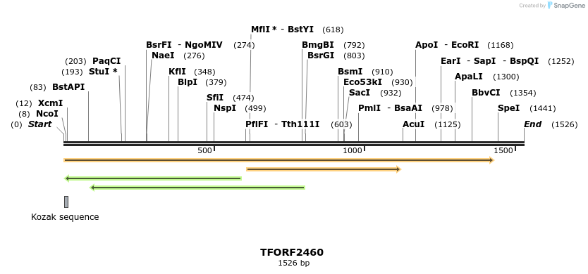278407_map