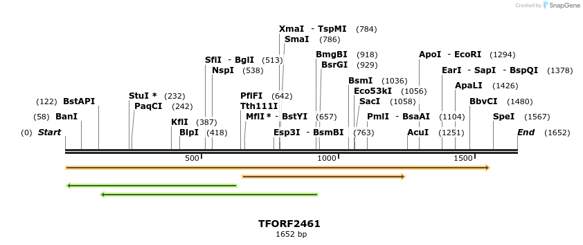 278410_map