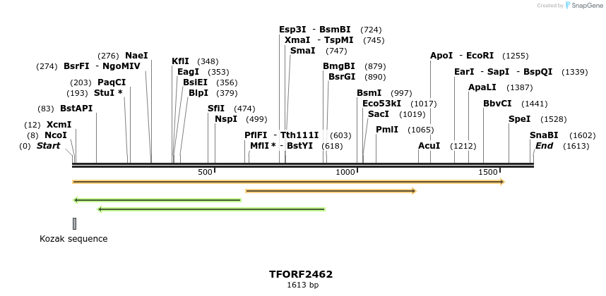 278413_map