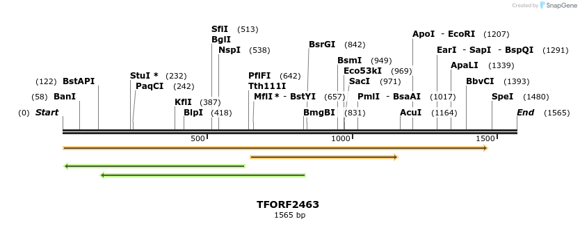278416_map