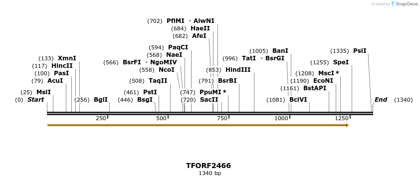 278419_map