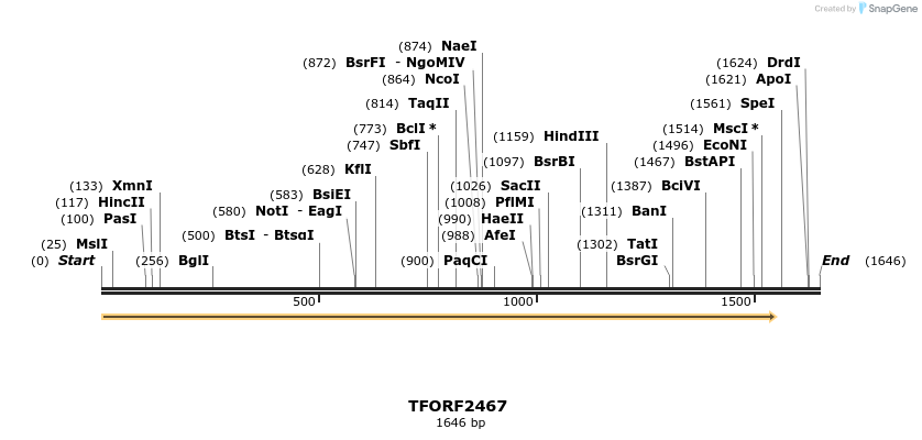278422_map