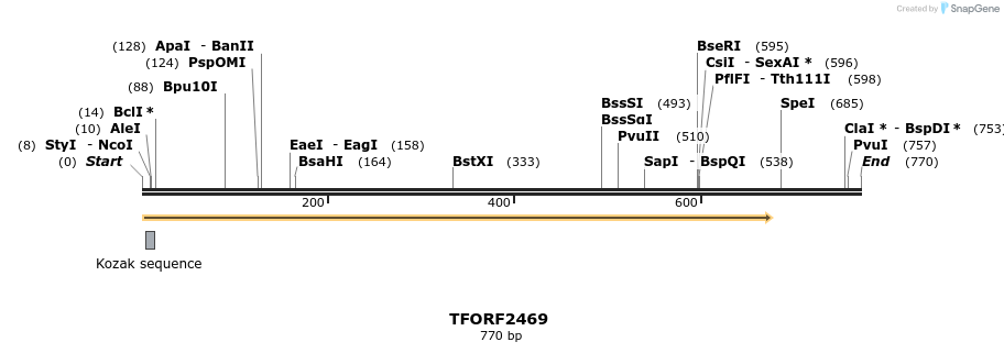 278425_map