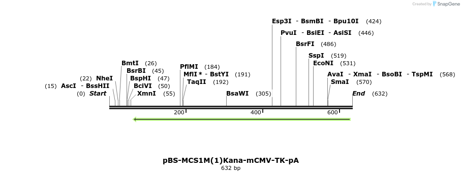27843_map
