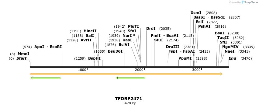 278431_map