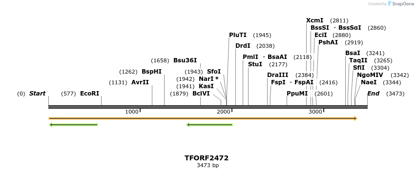 278434_map