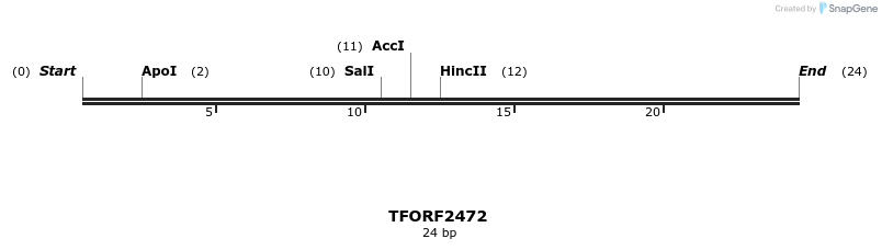278435_map