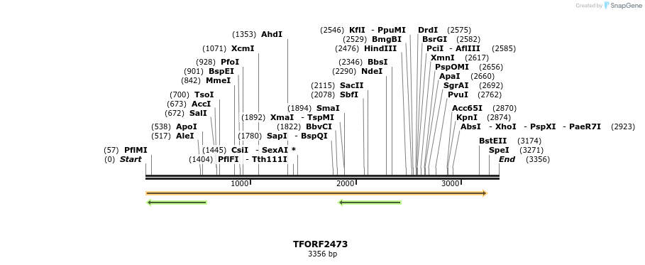 278437_map