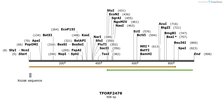 278440_map