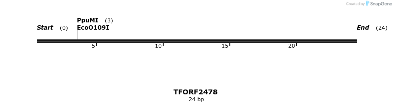278441_map