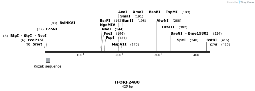 278443_map