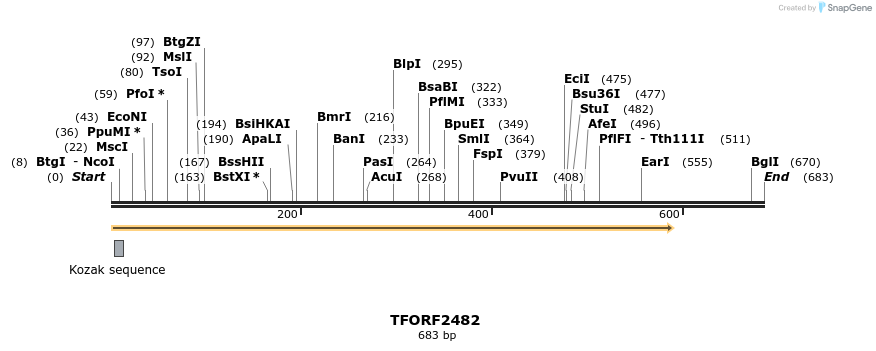 278446_map