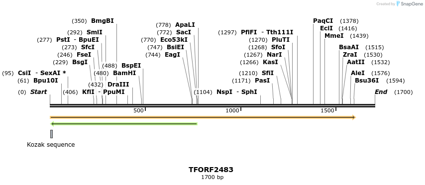 278449_map