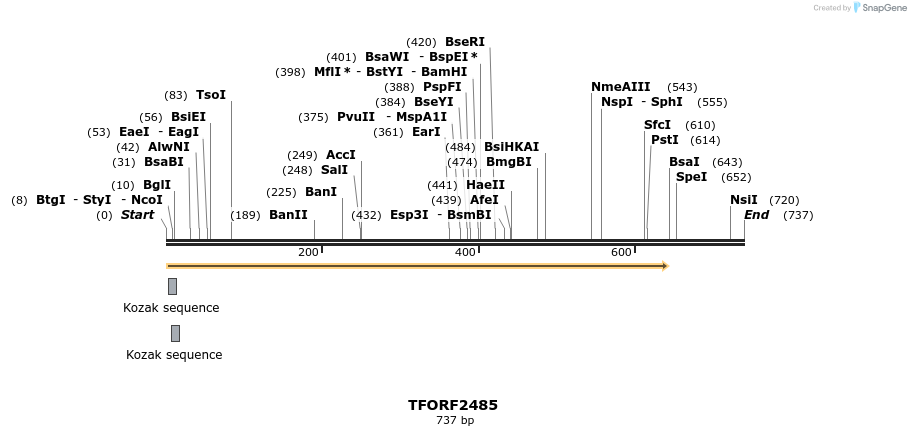 278452_map