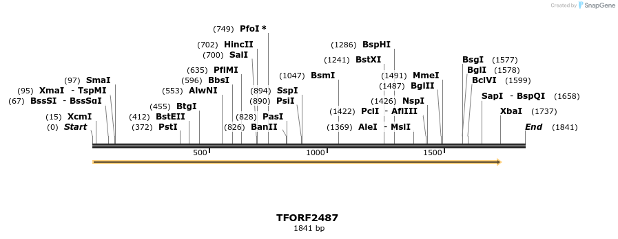 278455_map