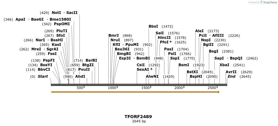 278458_map