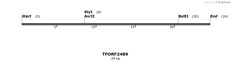 278459_map