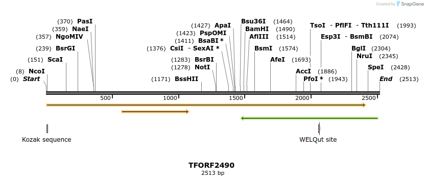 278461_map