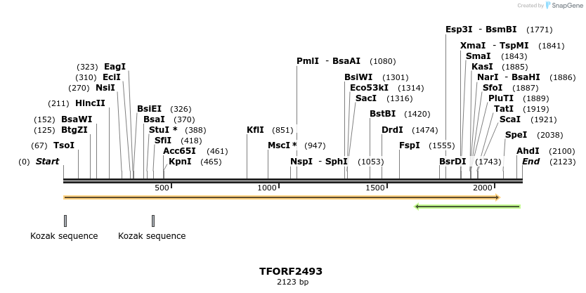 278470_map