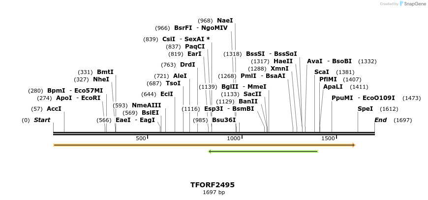 278476_map