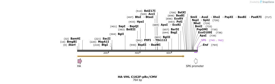 27848_map