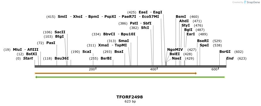 278485_map