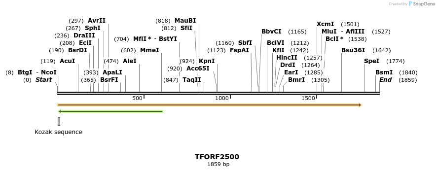 278488_map