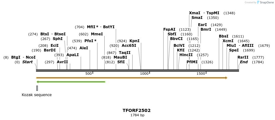 278491_map
