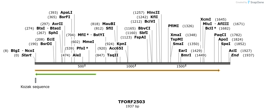 278494_map