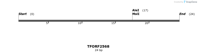 278498_map