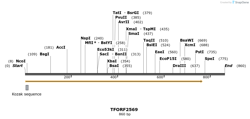 278500_map