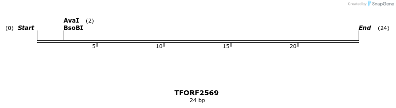 278501_map