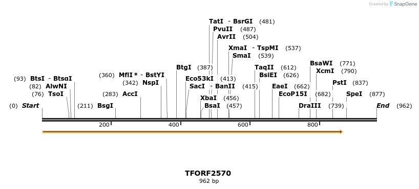 278503_map