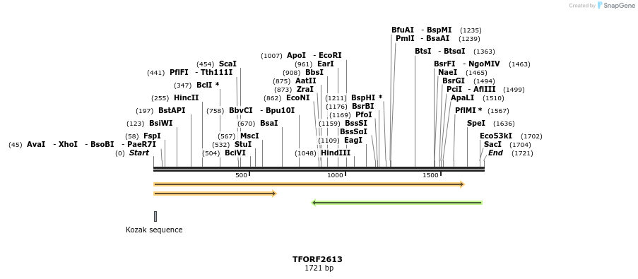 278506_map