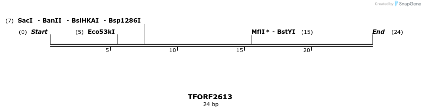 278507_map