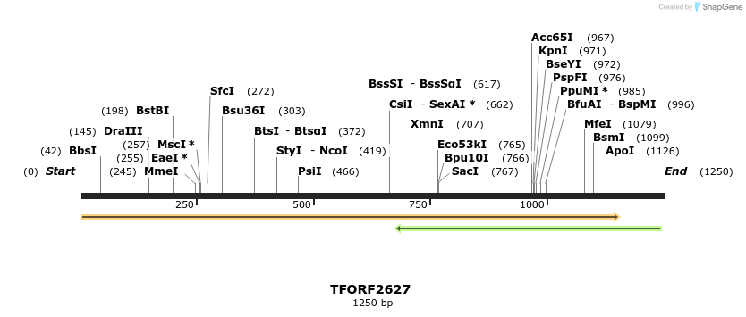 278509_map