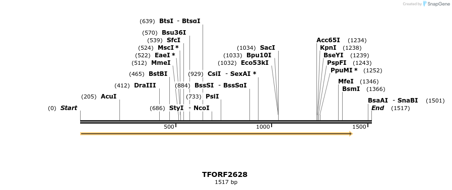 278512_map