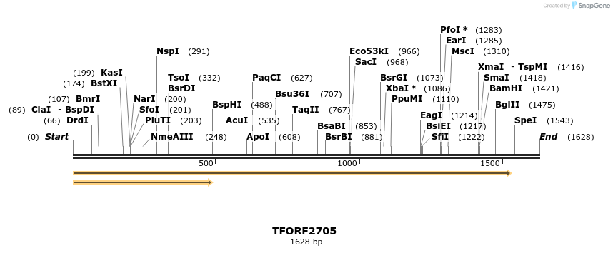 278515_map