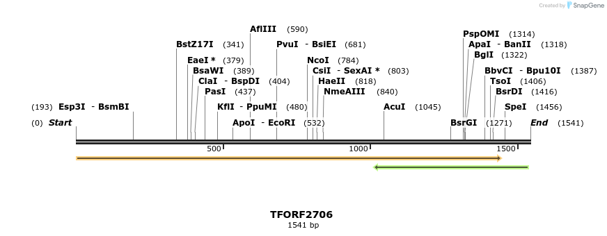 278518_map