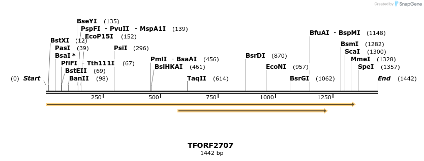 278521_map